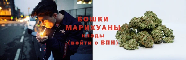 ГАЛЛЮЦИНОГЕННЫЕ ГРИБЫ Балабаново