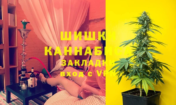 ГАЛЛЮЦИНОГЕННЫЕ ГРИБЫ Балабаново