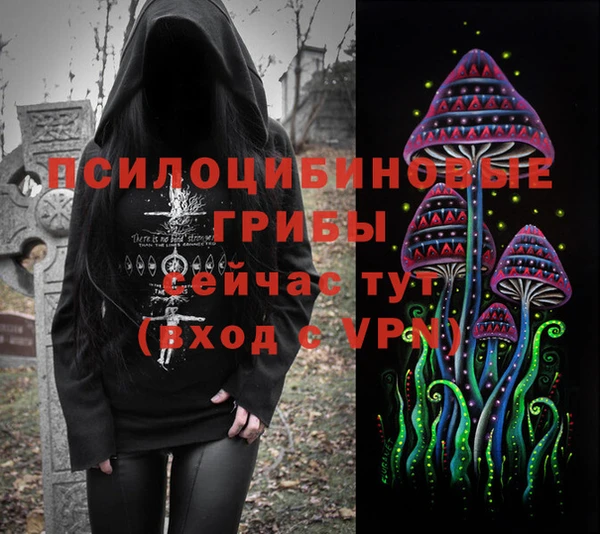 МДПВ Снежинск