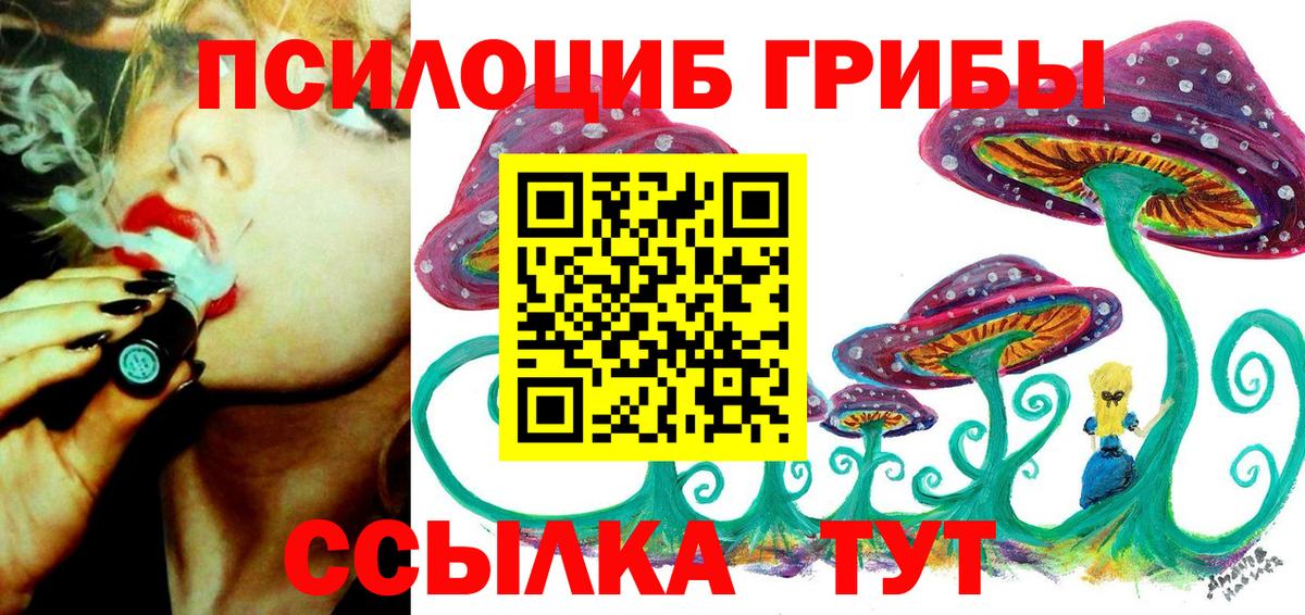 Белово  Галлюциногенные грибы мицелий  Псилоцибиновые грибы MAGIC MUSHROOMS  Вход с VPN 